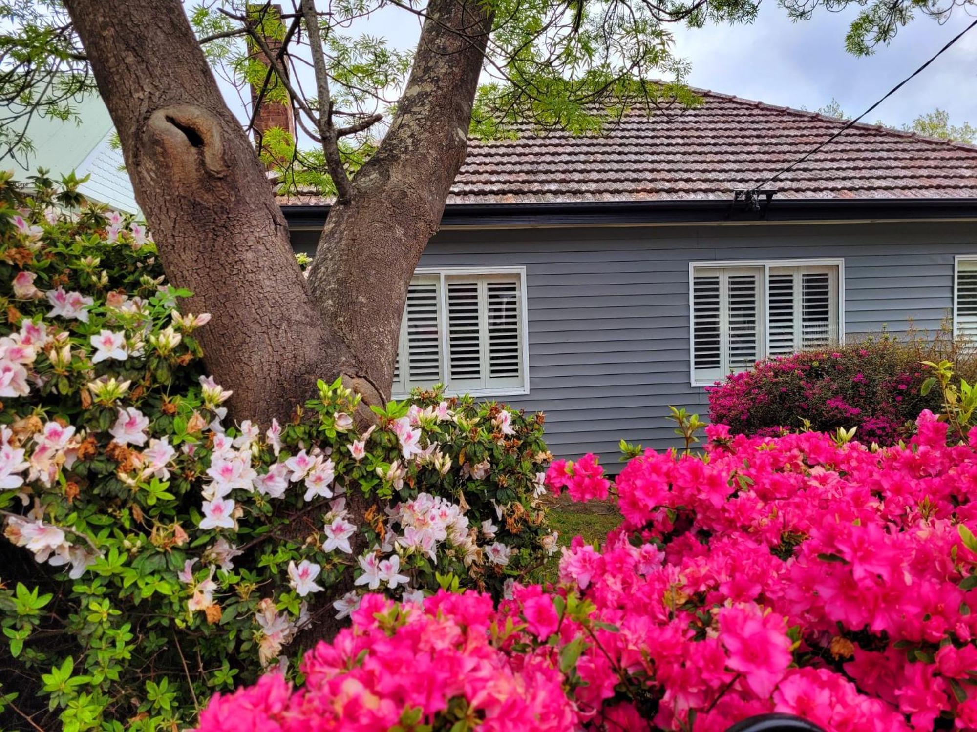La Villette Sleeps 9 Fireplace Bbq Pet Friendly Katoomba Exterior photo
